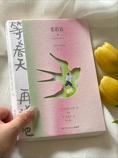 《等春天，再说吧》书籍封面